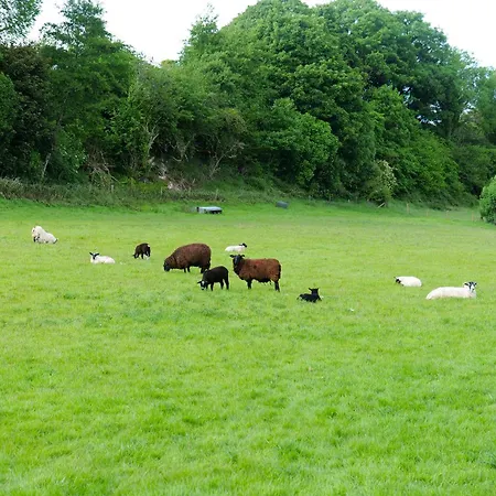 別荘 The Olde Sterritt Carrigart