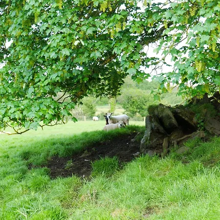 The Olde Sterritt * Carrigart