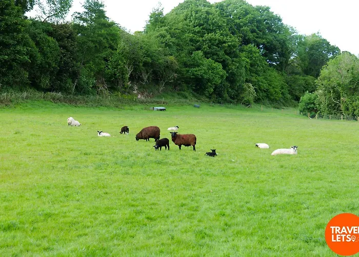 בית נופש The Olde Sterritt קריגרט